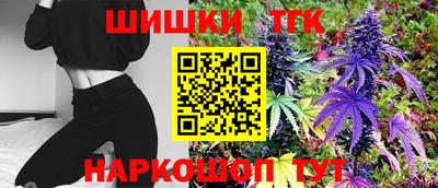 Альфа ПВП Тверь